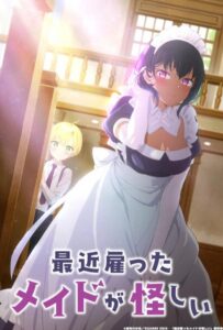 Моя новая горничная очень подозрительна Смотреть Все Сезоны Подряд